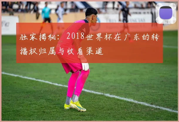 独家揭秘：2018世界杯在广东的转播权归属与收看渠道