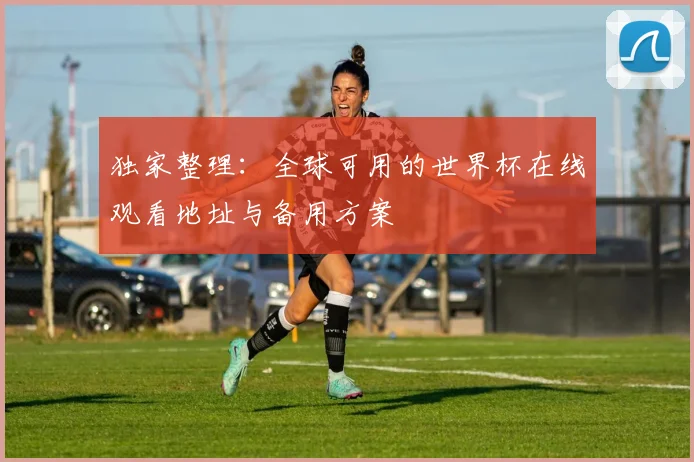 独家整理:全球可用的世界杯在线观看地址与备用方案