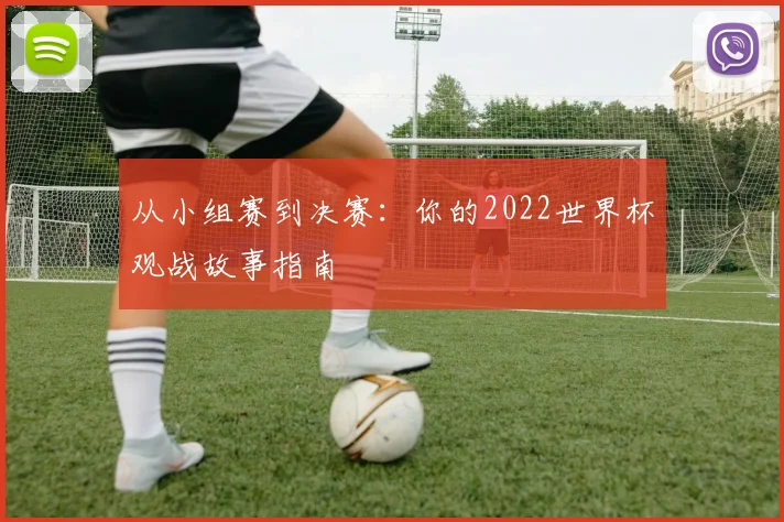 从小组赛到决赛：你的2022世界杯观战故事指南