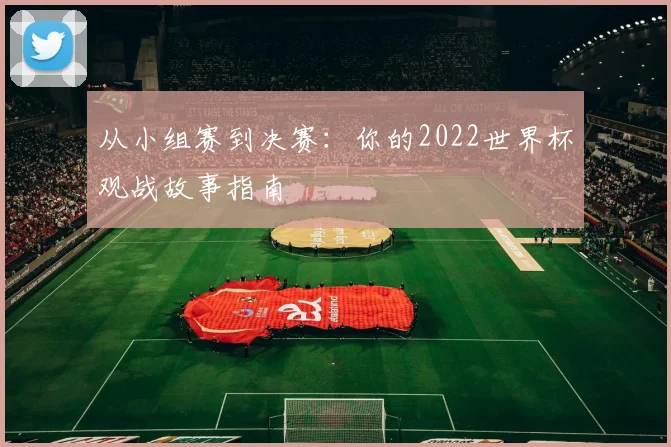 从小组赛到决赛：你的2022世界杯观战故事指南