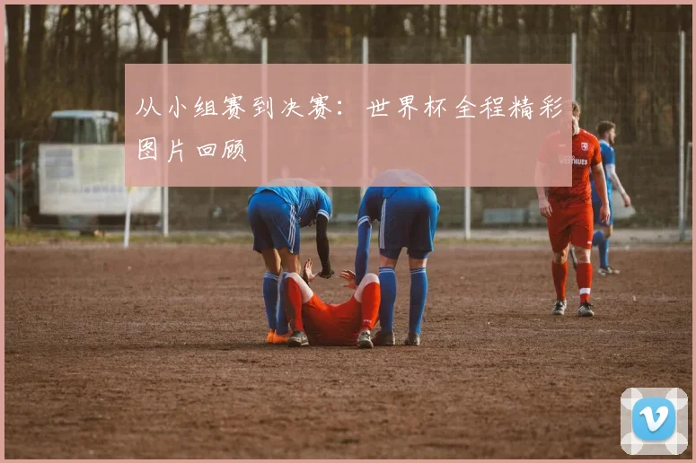 从小组赛到决赛：世界杯全程精彩图片回顾