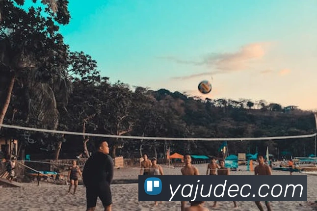 必一运动体育官网平台生态图