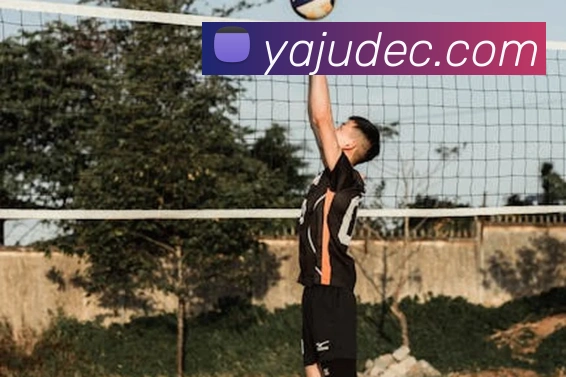 必一运动体育官网全站App